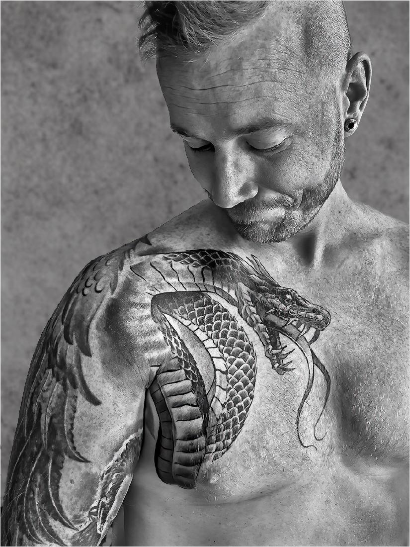Serpent - Pat Frewin