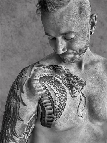 Serpent - Pat Frewin