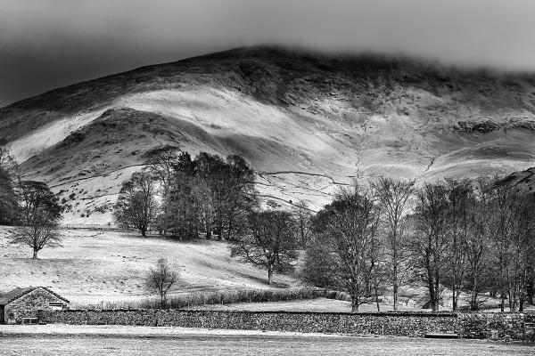 Sweeping Light - Colin Brett
