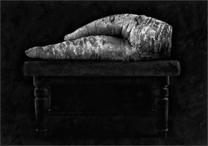 The Naked Carrot - Roy Essery