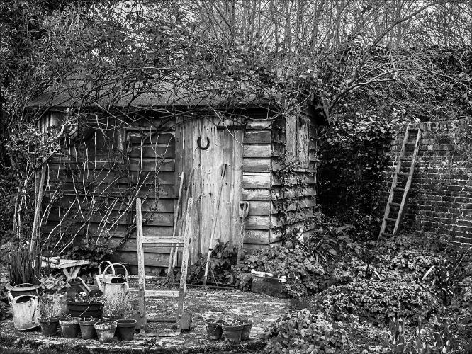 The Old Garden Shed - Jan Cross