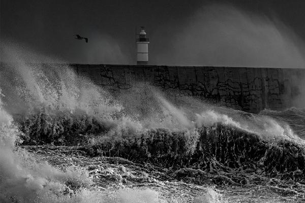 Raging Storm - Shaun Hykel