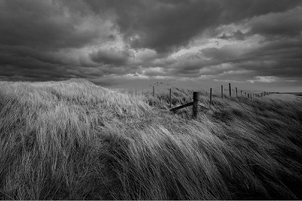 The Fence, Lindisfarne - Colin Westgate