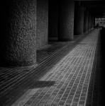 Elisa Harvey - Concrete jungle