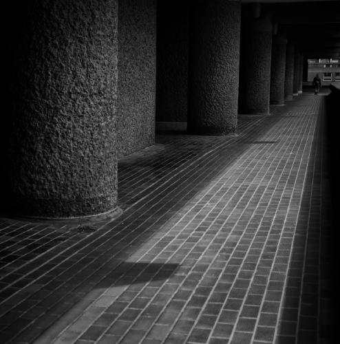 Concrete jungle - Elisa Harvey