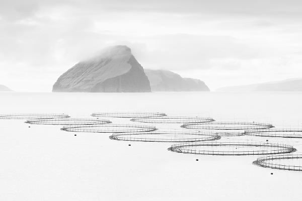Kultor Island, Faroes - Chrissie Hart