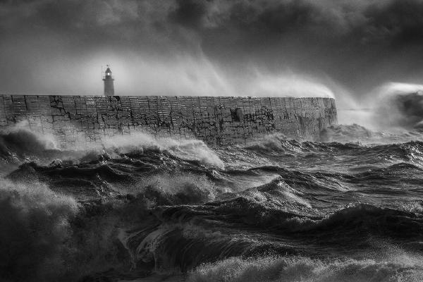Newhaven - Mark Kench
