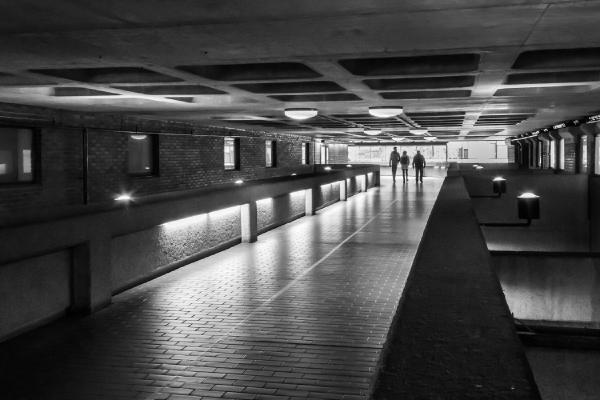 Towards The Light - Ian Carter