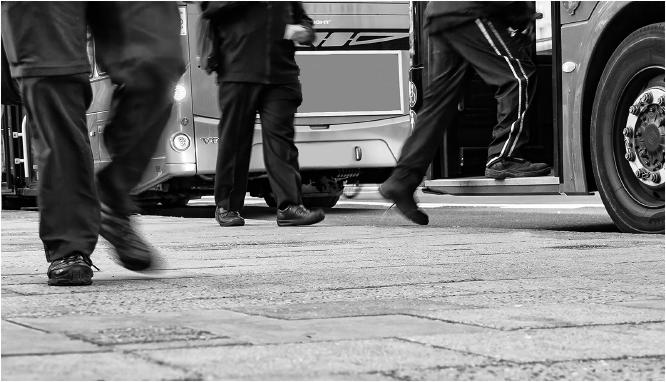 A pigeon's eye view (1) - David Egerton