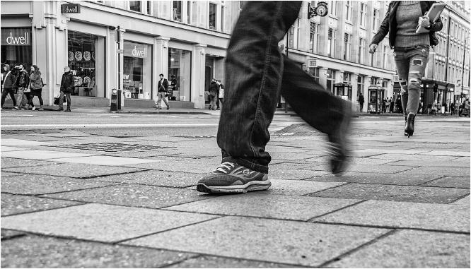 A pigeon's eye view (3) - David Egerton