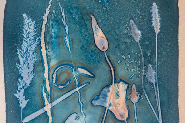 Cyanotype Triptych (3) - Katherine Bailey