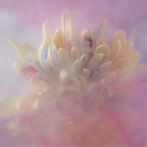 Flower in water and paint (2) - Richard Cunningham