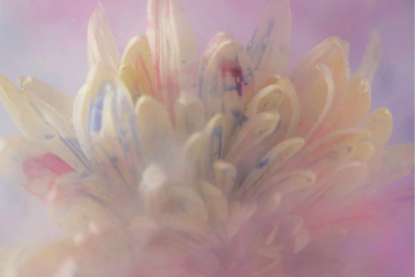 Flower in water and paint (2) - Richard Cunningham