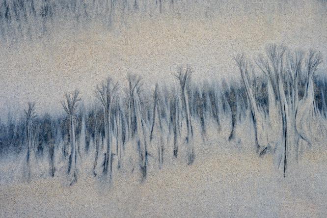 Trees In The Sand (2) - Roy Essery