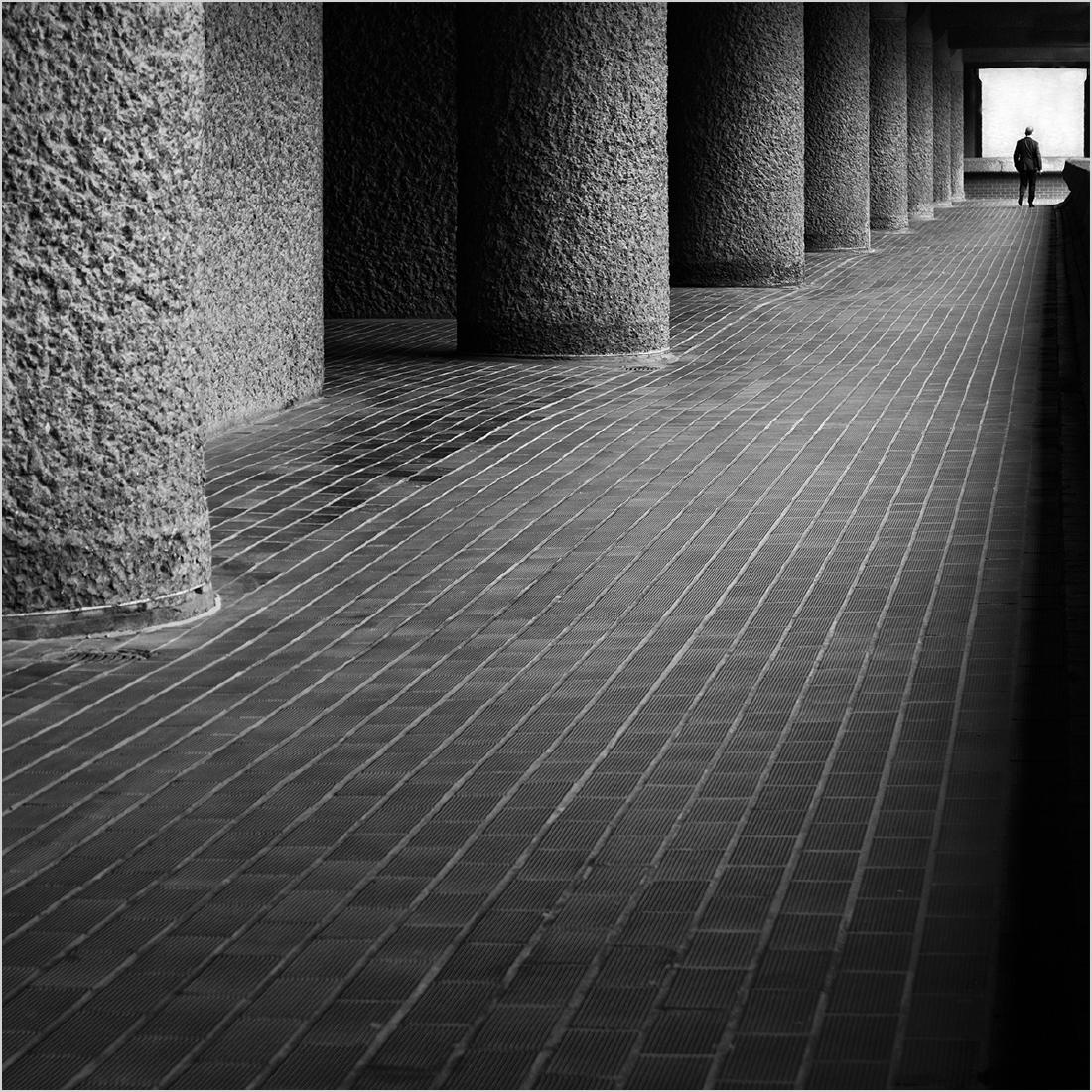 V (1) - Steve Ball
