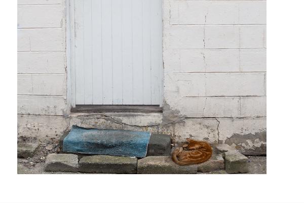 Home Sweet Home - Nesta James