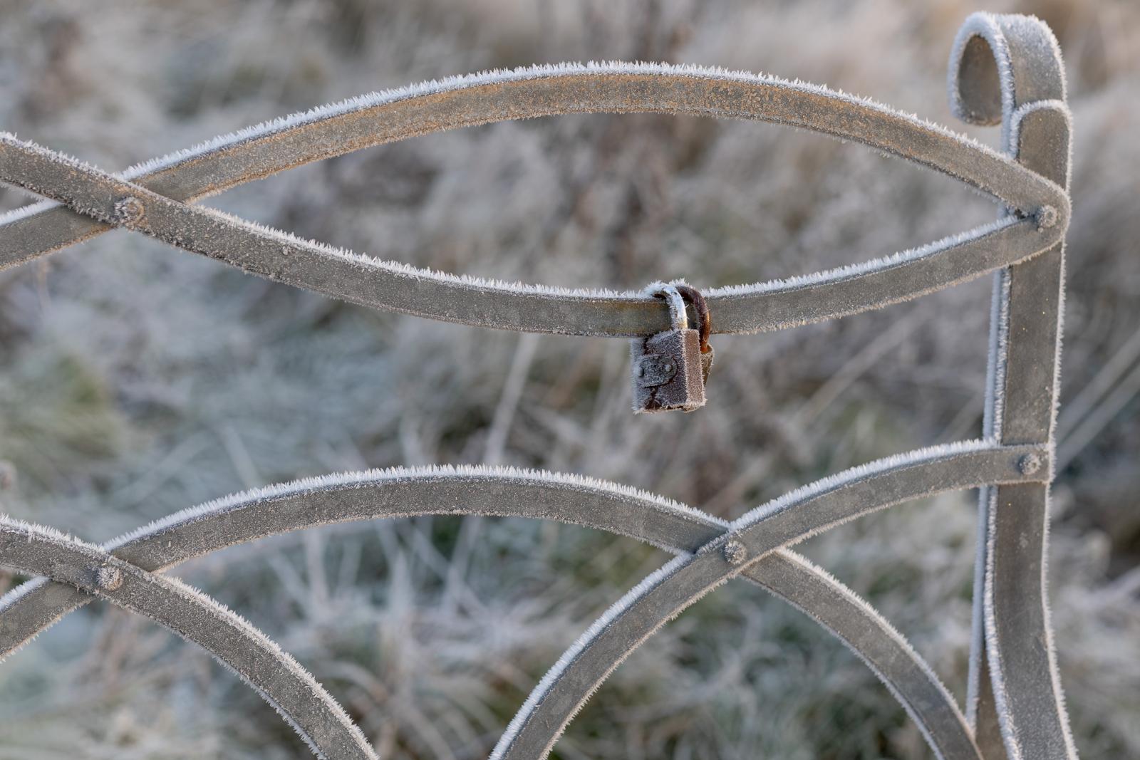 Love in the cold - Jean Taylor