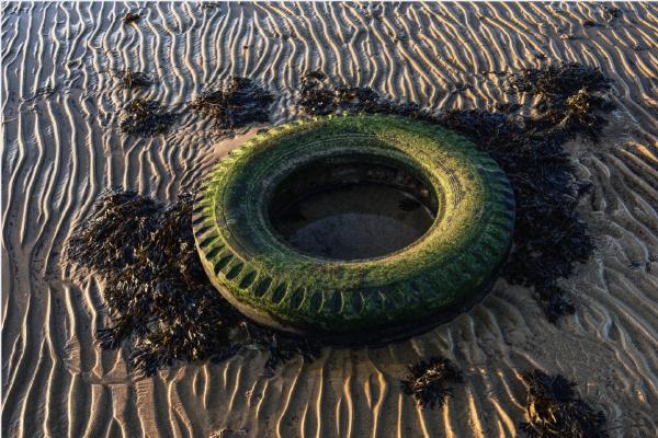 Low Tide - Keith Bailey