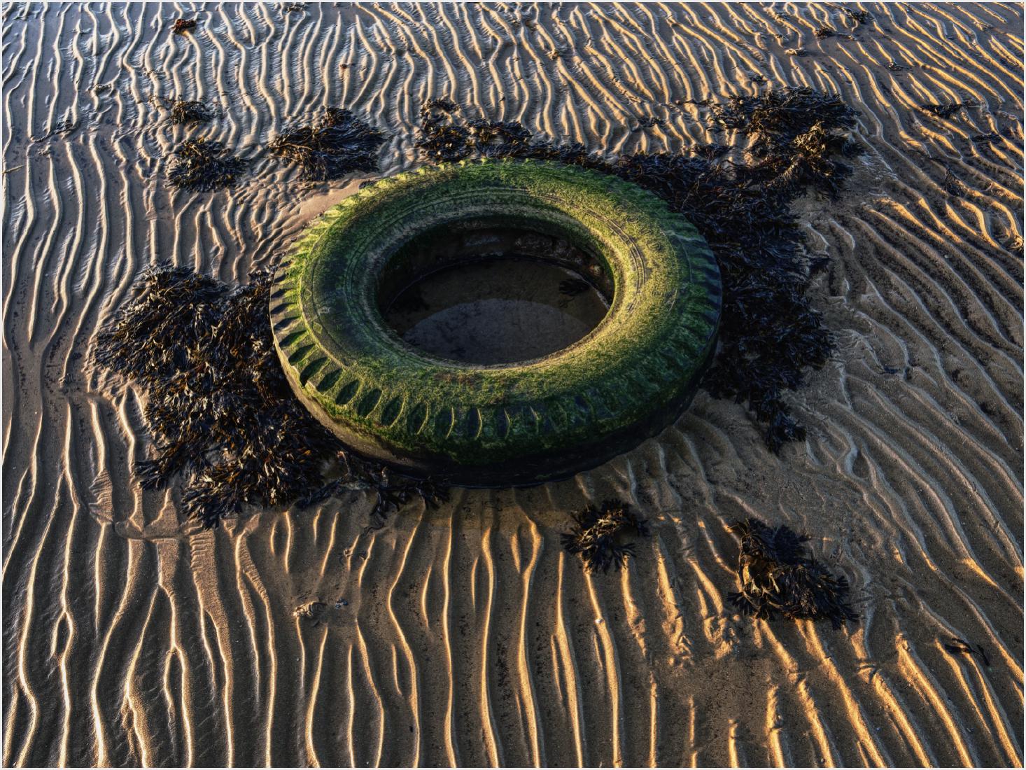 Low Tide - Keith Bailey