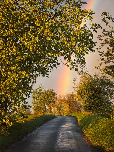 Road to the End of the Rainbow - Kate Jackson
