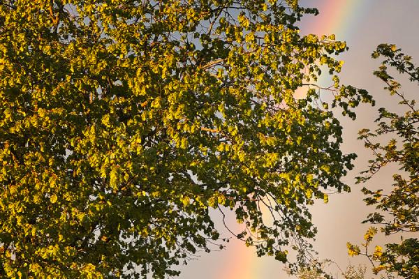 Road to the End of the Rainbow - Kate Jackson