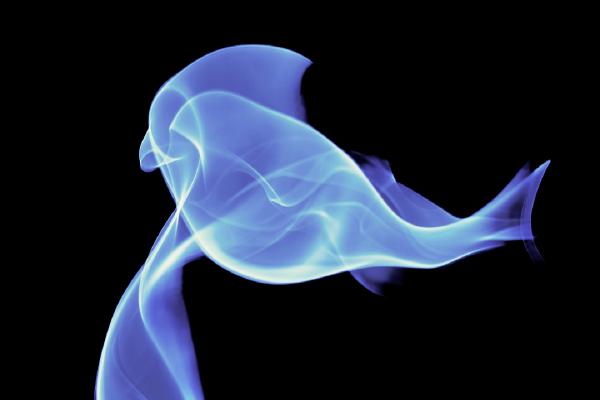 Smoking parrot - Richard Cunningham