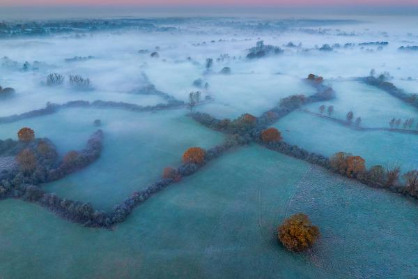 Winter morning, Dedham Vale - Andrew Bailey