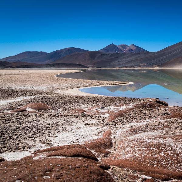 Alan James - Atacama Salt Lake