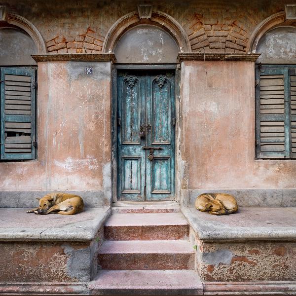 Kate Jackson - Let Sleeping Dogs Lie