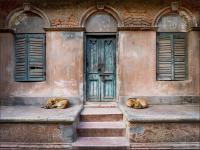 Kate Jackson - Let Sleeping Dogs Lie