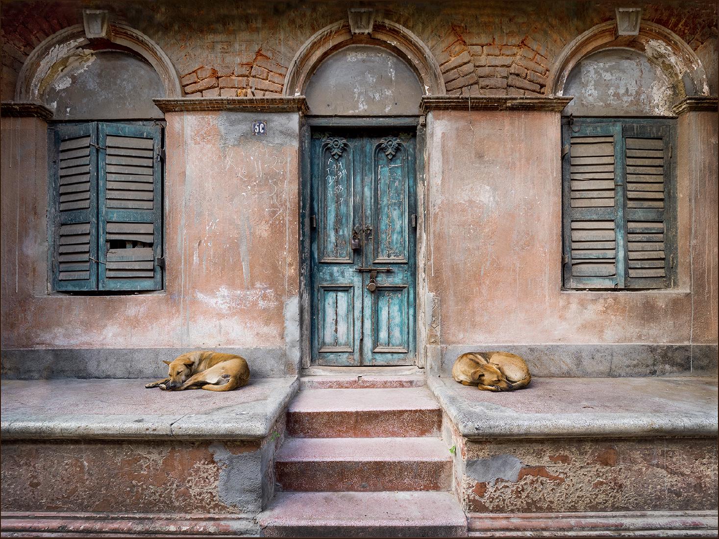 Let Sleeping Dogs Lie - Kate Jackson