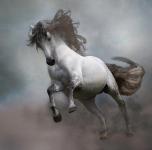 Nesta James - Stallion of the Mist