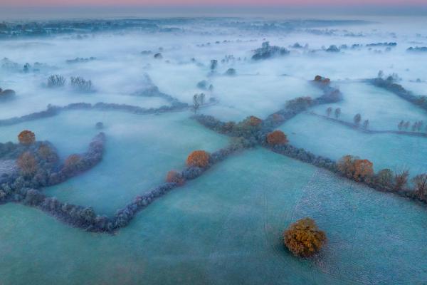Winter morning, Dedham Vale - Andrew Bailey