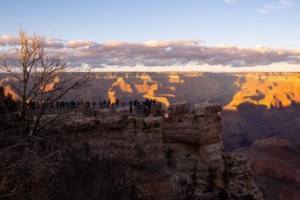 Canyon gazing - Jean Taylor