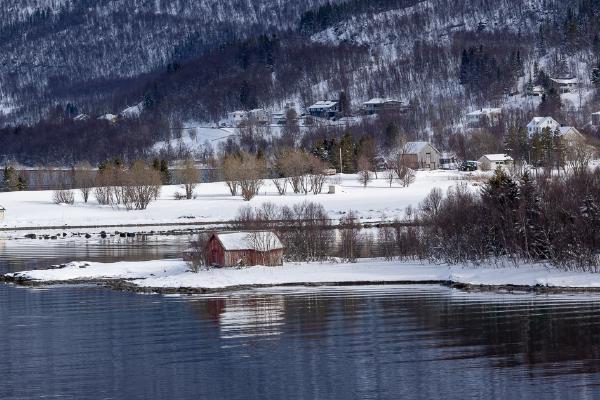 Spring comes to Norway - David Charlton