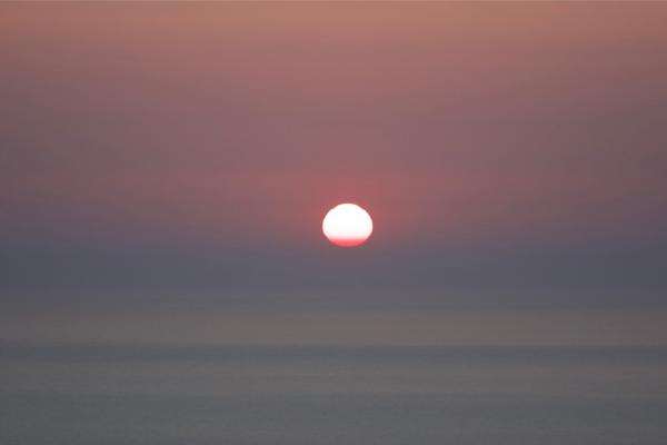 Sun 1 - Max Fox