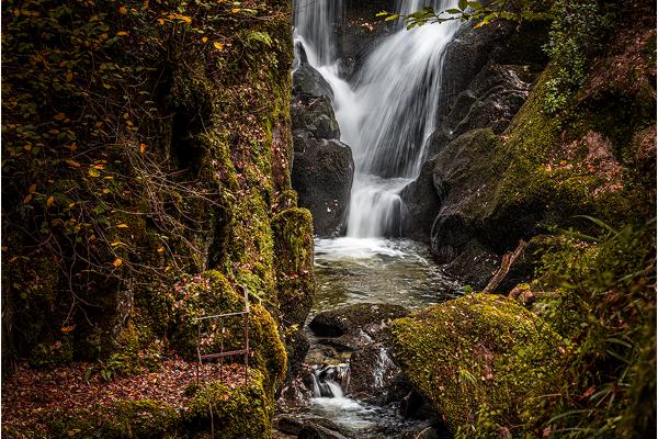 Fall's Concergence - Mark Kench