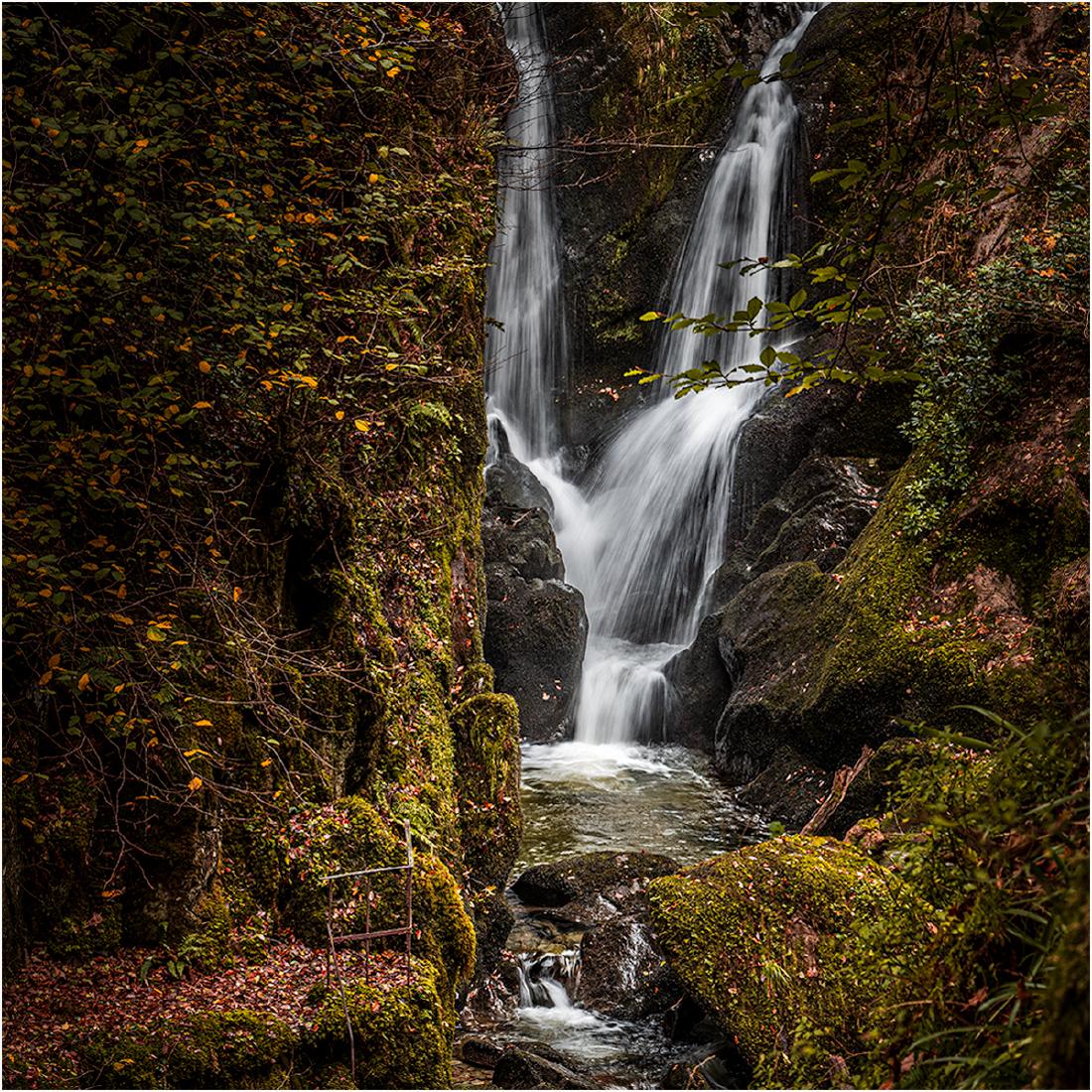 Fall's Concergence - Mark Kench
