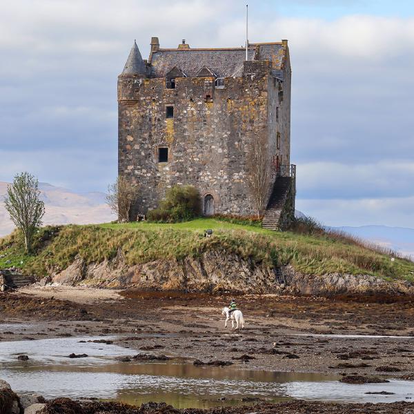 Anne Aldred - Castle Stalker