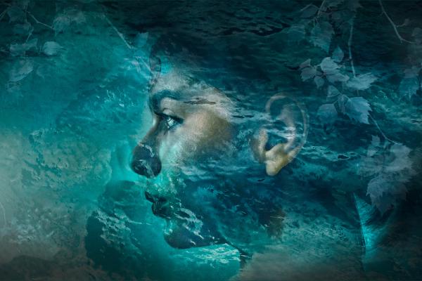 Glowing Dreams Lost at Sea - Chrissie Alexander