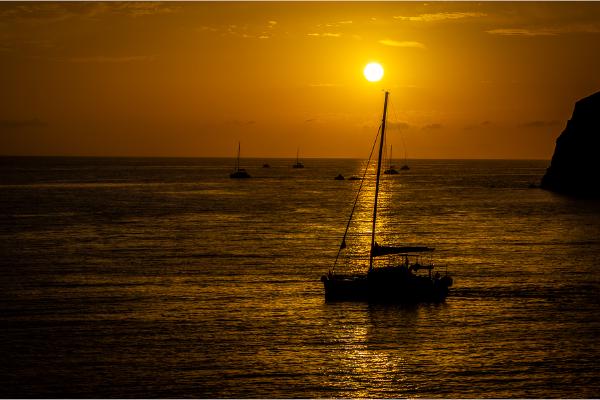 Warm Memories - Roger Cuthbert