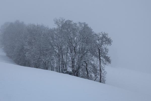 Between snow and sky - Alex Tyler