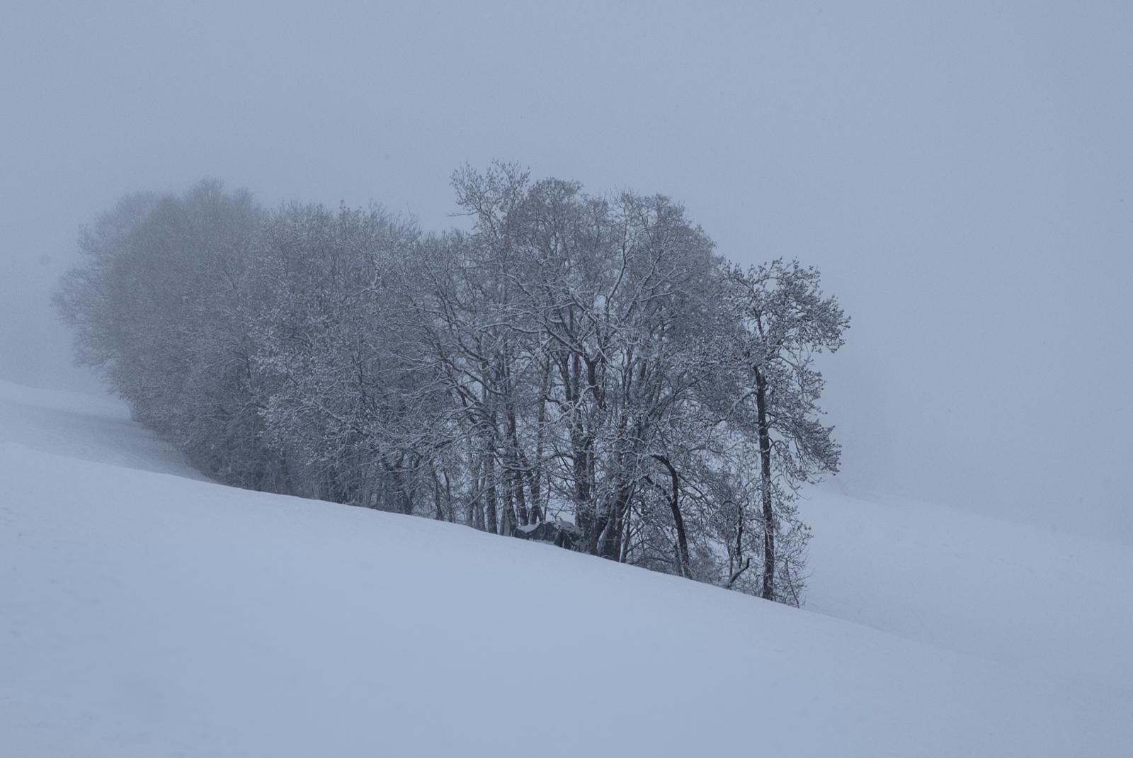 Between snow and sky - Alex Tyler