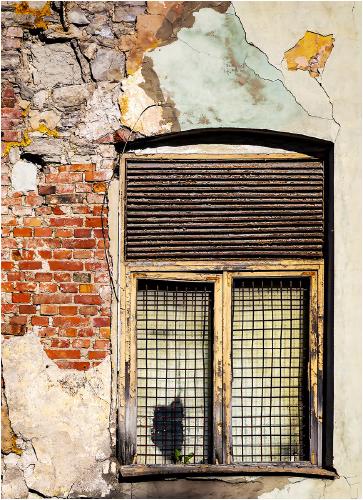 Beyond Repair - David Egerton