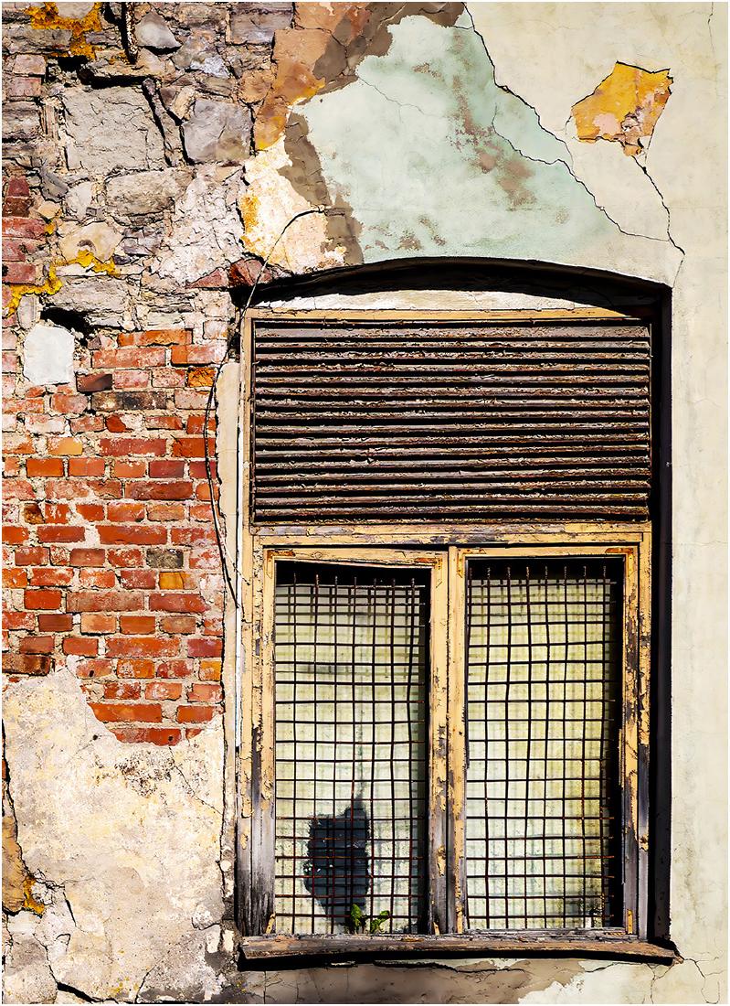 Beyond Repair - David Egerton
