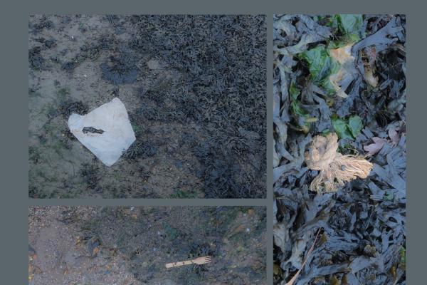Low tide (1) - Alex Tyler