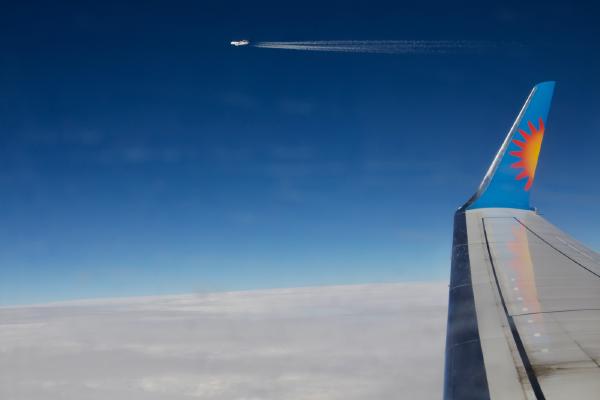 In plane sight... - Max Fox