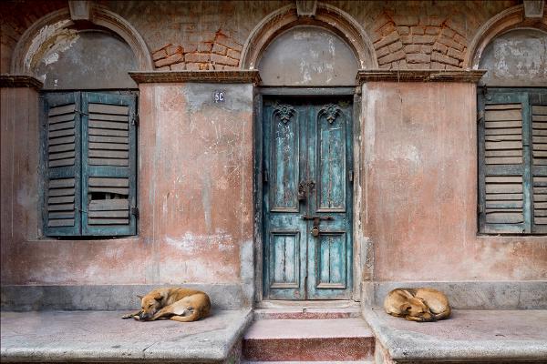 Let Sleeping Dogs Lie - Kate Jackson