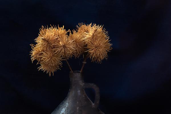 Marron Stem in Vase - Nesta James