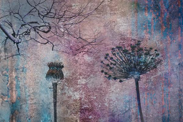 Standing Tall - Chrissie Alexander